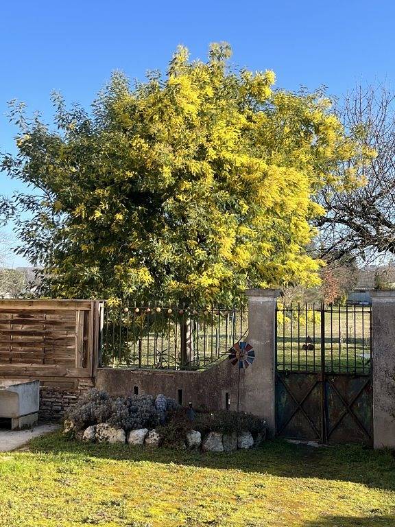 Maison d’hôtes Léontine, canal des 2 mers à vélo - Chambre La Vintage in Lamagistère, Tarn-et-Garonne