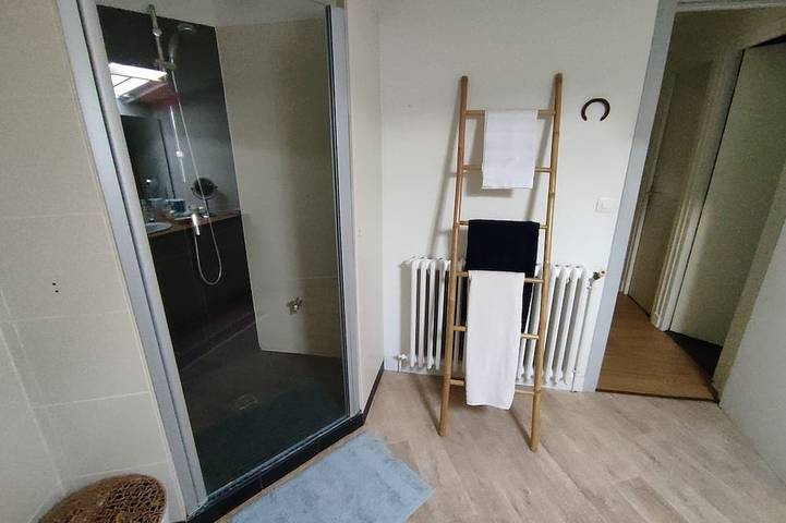 Location de vacances pour 3 personnes, animaux acceptés dans Cathedrale Saint Andre De Bordeaux - 4