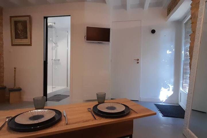 Gîte pour 3 personnes, avec piscine dans Segré-en-Anjou-Bleu - 4