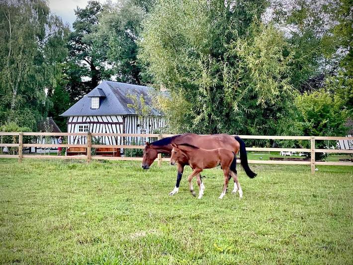 Location de vacances pour 8 personnes, avec jardin et terrasse dans Canehan - 4