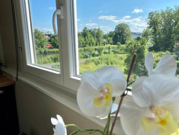 Gîte pour 3 personnes, avec vue à Riedisheim - 3