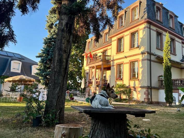 Hôtel pour 5 personnes, avec jardin et vue, animaux acceptés à Barr - 3