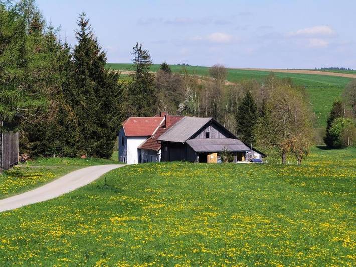 Ferienhaus für 5 Personen, mit Garten und Sauna sowie Ausblick und Pool in Waldviertel - 4