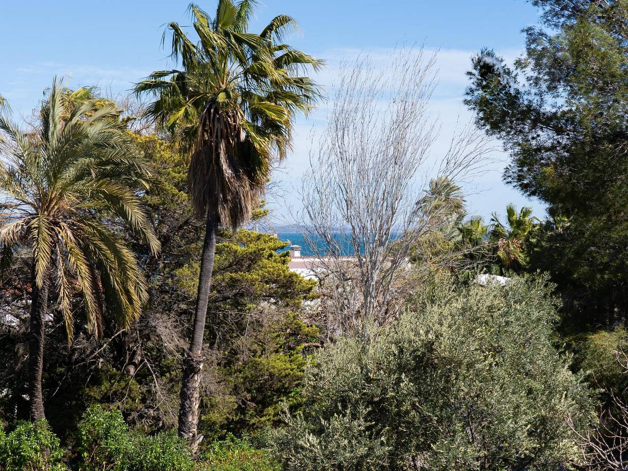 Entire holiday apartment, Apartment with terrace at 8km Port Aventura in Salou, Costa Dorada