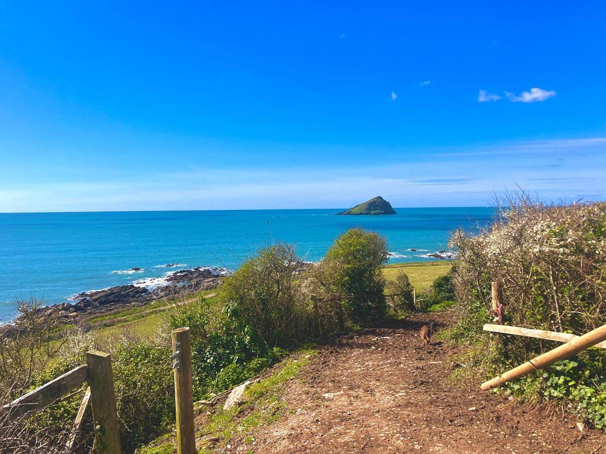 One-Bedroom Chalet - Double in Wembury, Devon