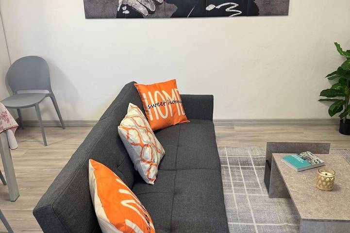 Entire apartment, House Hydrangea Historical Center in Gorizia, Collio - Alto Isonzo