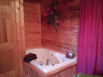 Log Cabin for 6 Guests in Pigeon Forge, Sevier County, Picture 1