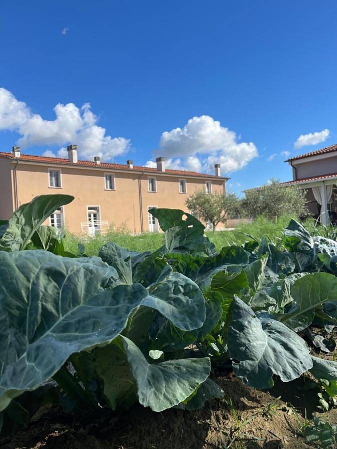 Agriturismo per 2 persone, con Giardino e Panorama a Cascina