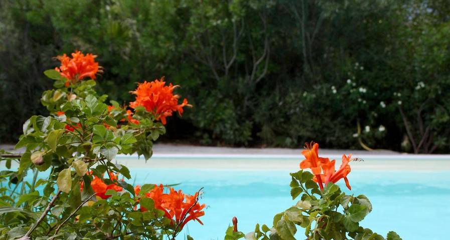 Location de vacances pour 4 personnes, avec sauna et piscine ainsi que jacuzzi et jardin à Castiadas - 2