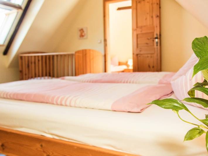 Bauernhof für 6 Personen, mit Sauna und Terrasse sowie Garten, mit Haustier in Thüringen - 3