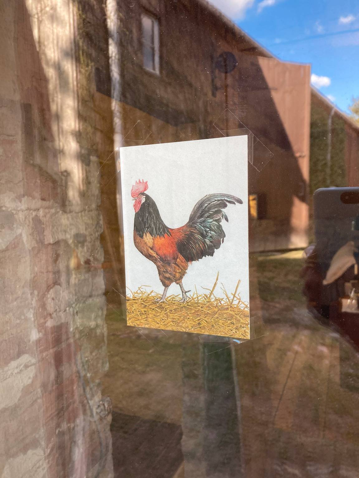 Habitación 'Hühner' con terraza compartida, jardín compartido y Wi-Fi in Wiesenburg, Fläming