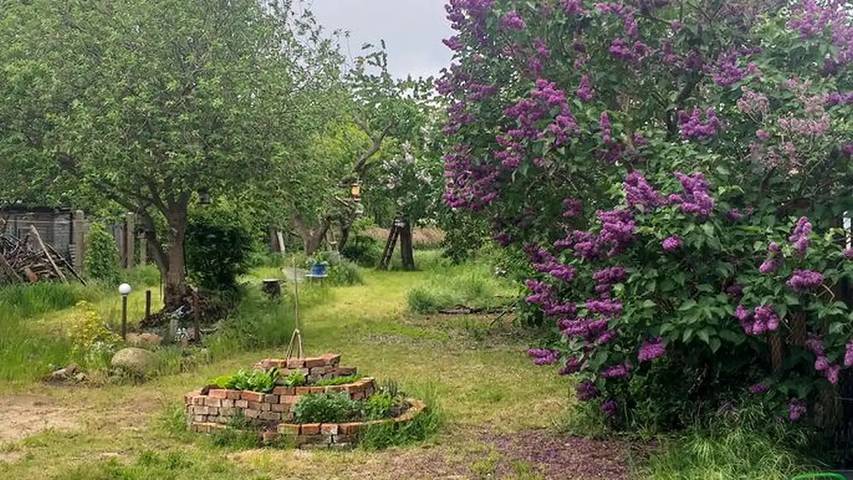 Ferienhaus für 5 Personen, mit Terrasse und Garten in Mecklenburg-Vorpommern - 4