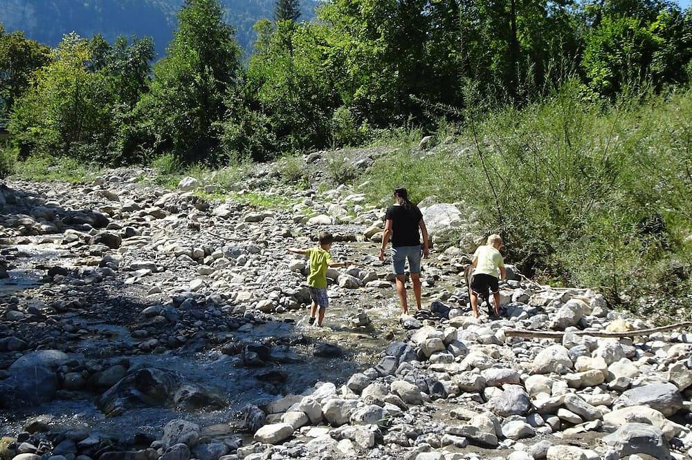 Ganze Wohnung, Entdecken Sie das Herz der Schweiz! in Dallenwil, Vierwaldstättersee
