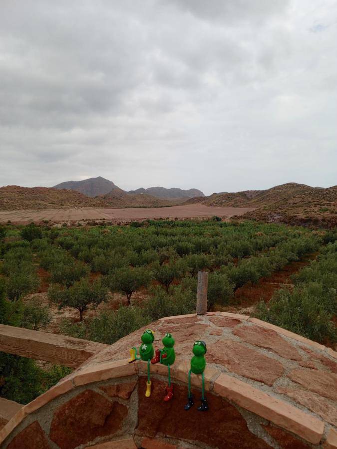 Casa rural para 3 personas, con piscina y vistas además de jardín y terraza, Se admiten mascotas en Provincia de Almería