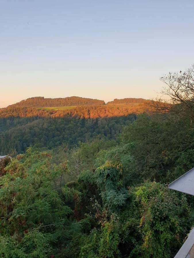 Ferienwohnung für 2 Personen, mit Ausblick und Garten, mit Haustier in Manderscheid