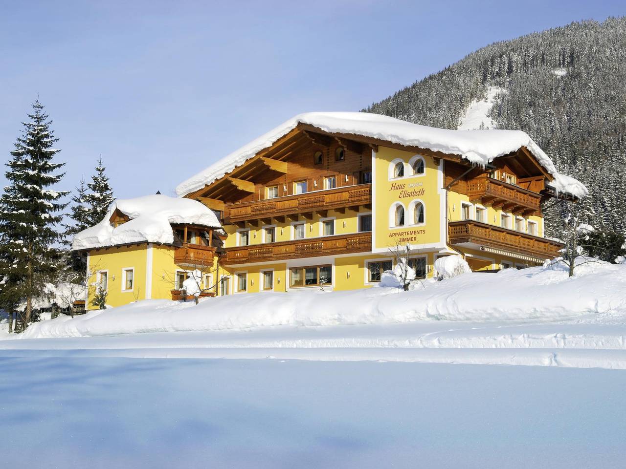 Ganze Ferienwohnung, Haus Elisabeth in Sankt Martin am Tennengebirge, Tennengau