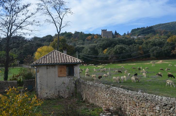 Gîte pour 2 personnes, avec jardin dans les Parc national des Cévennes - 3
