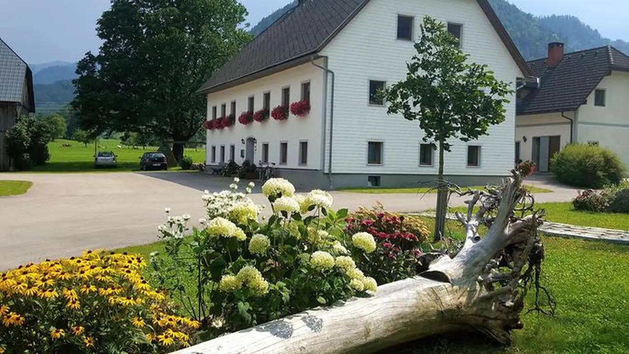 Geheel vakantieappartement, Ferienwohnung für 6 Personen (55 m²) in Hinterstoder in Hinterstoder, Dead Mountains