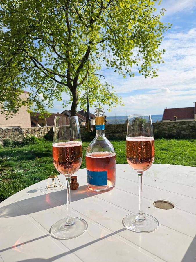 Location de vacances pour 6 personnes, avec jardin ainsi que vue et terrasse, animaux acceptés à Châtillon-sur-Marne - 4