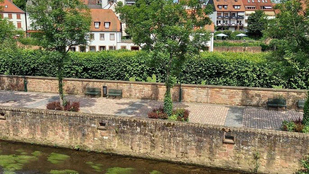 Ganze Ferienwohnung, Ferienwohnung für 5 Personen (55 m²) in Erbach in Erbach im Odenwald, Main-Odenwald