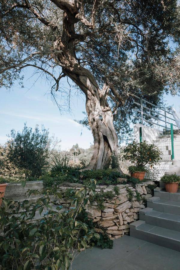 Villa in Patti, Province de Messina