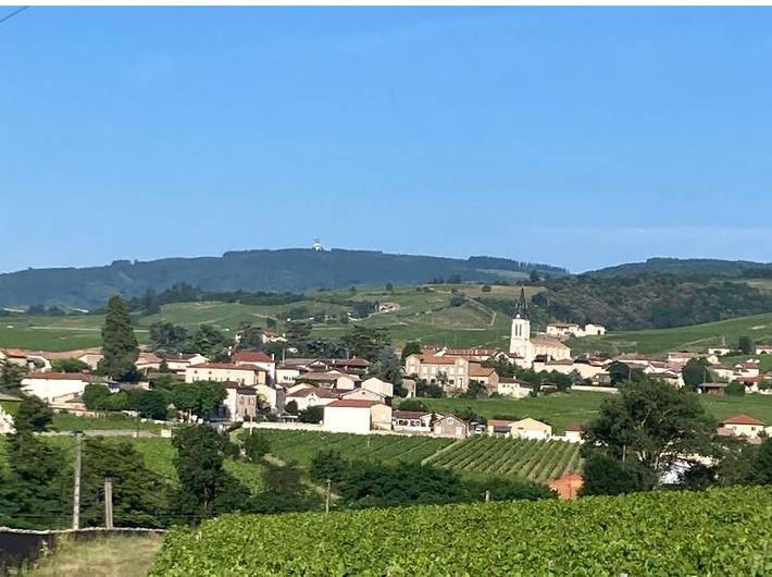 Location de vacances pour 12 personnes, avec jardin et vue à Fleurie - 3
