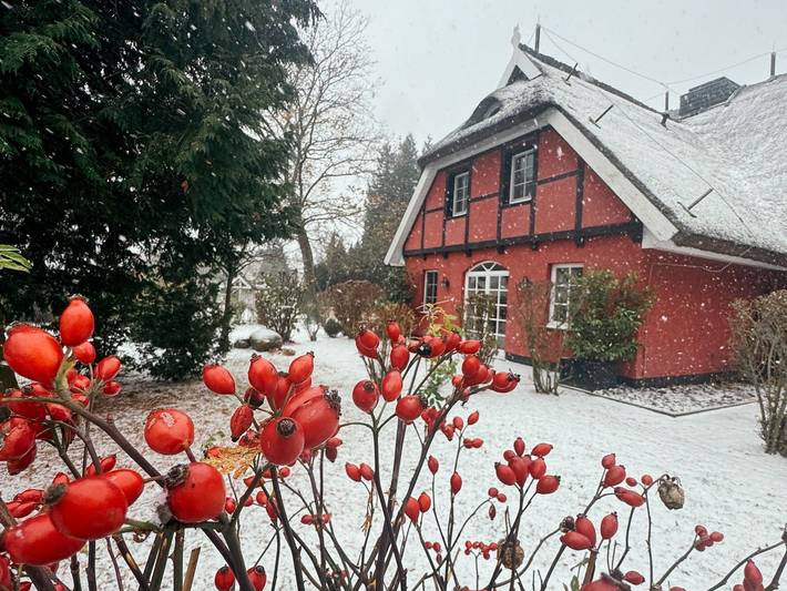 Ferienwohnung für 4 Personen, mit Terrasse und Garten in Groß Zicker - 2