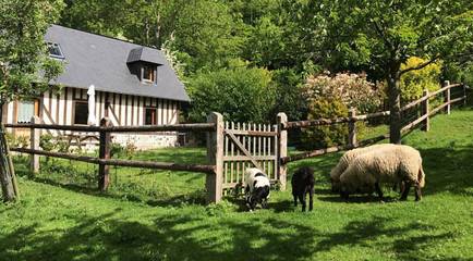 Gîte pour 4 personnes, avec terrasse ainsi que vue sur le lac et jardin à Fatouville-Grestain