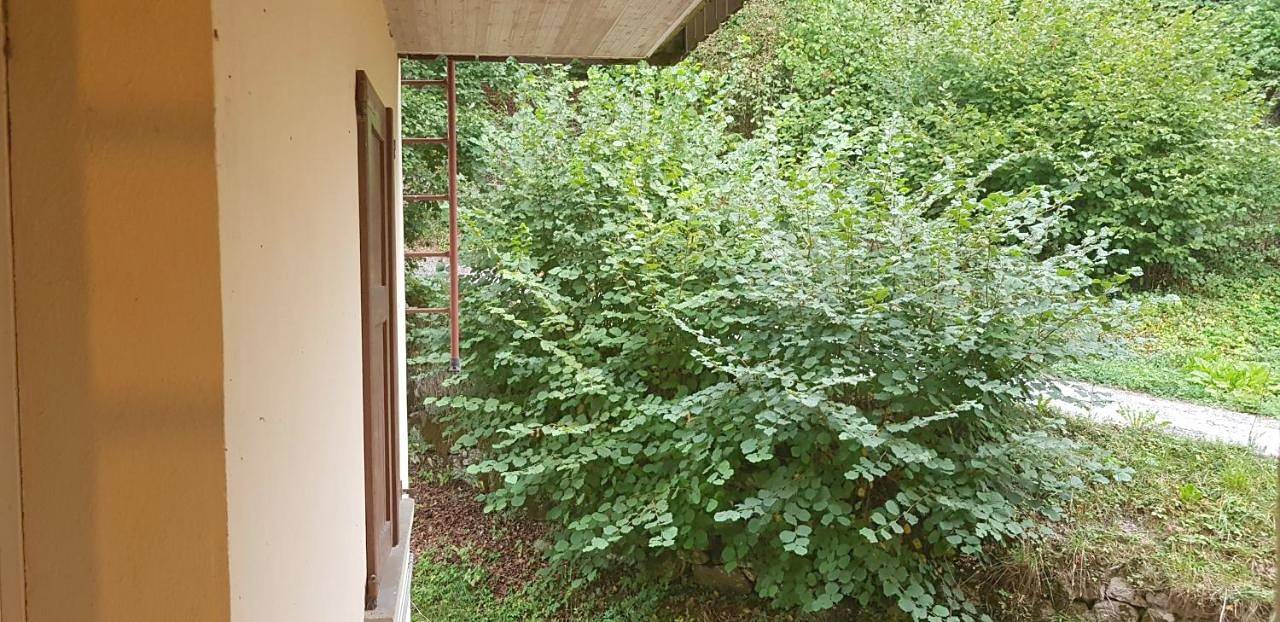 Casa vacanze in Trentino. Altopiano di Lavarone in Lavarone, Alpe Cimbra