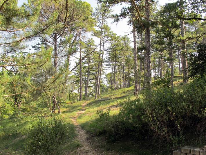Location de vacances pour 5 personnes, avec jardin ainsi que terrasse et sauna à Gréoux-les-Bains