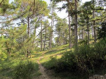 Ferienhaus für 7 Personen in Gréoux-les-Bains, Regionaler Naturpark Verdon, Bild 4