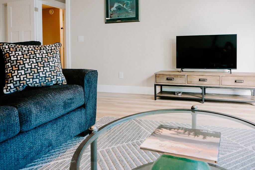 Beachfront property! 2 Bed/2 Bath and no added cleaning fees in Homer, Kenai Peninsula