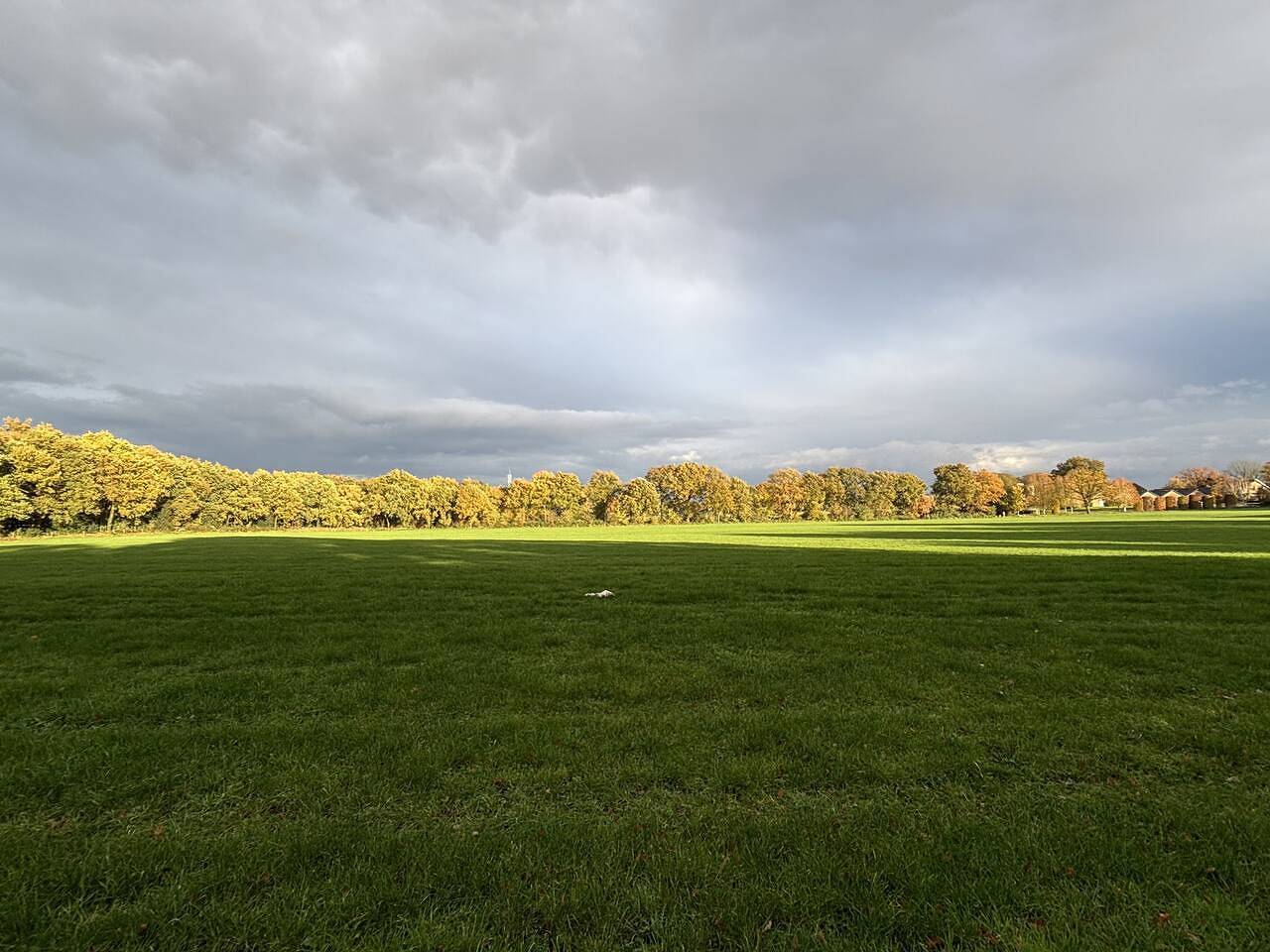 Boshuis Haen in Ermelo, Veluwe