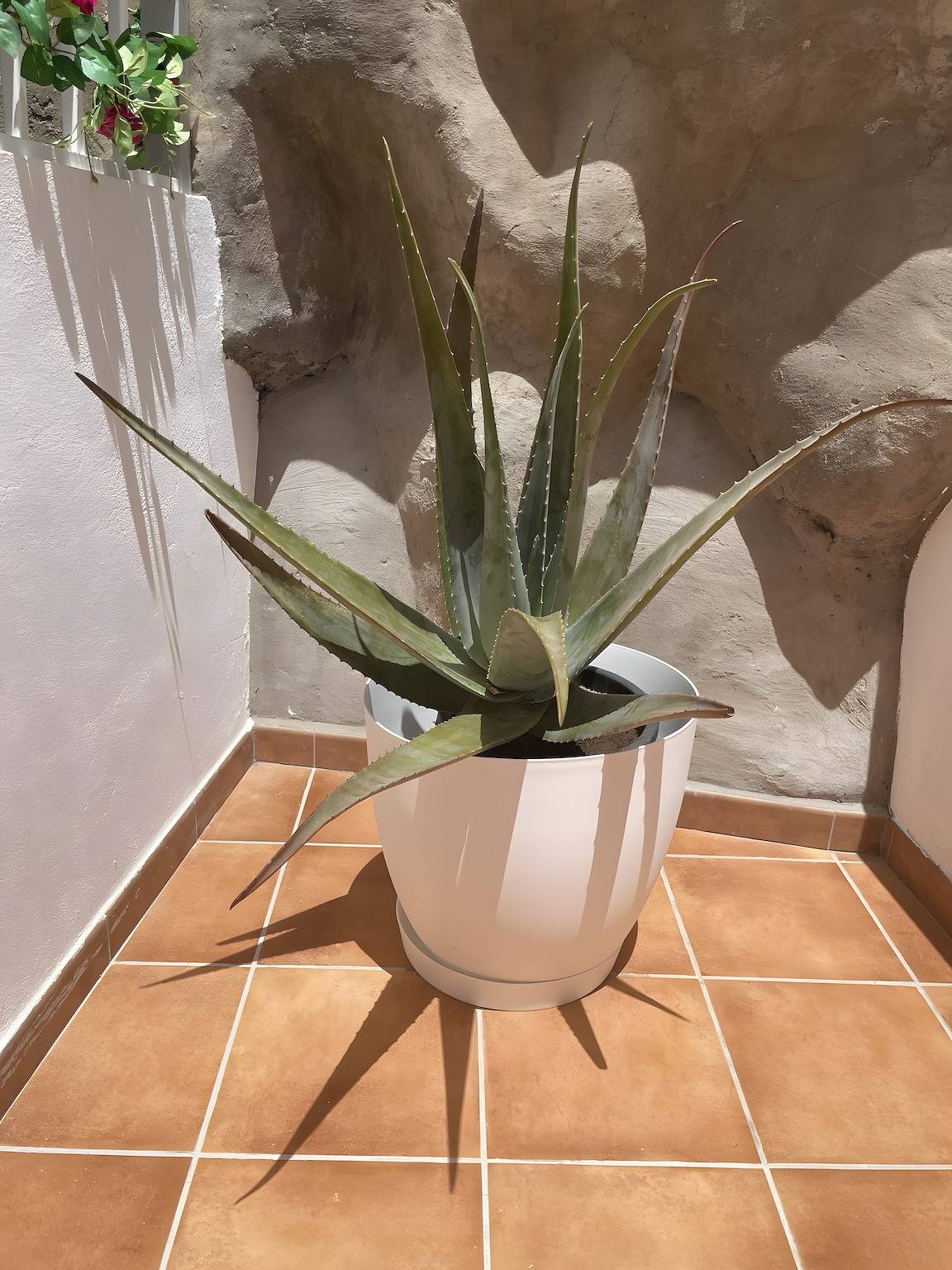 Ganze Wohnung, Apartment mit spektakulärer Aussicht auf Gran Canaria in Telde, Gran Canaria Osten