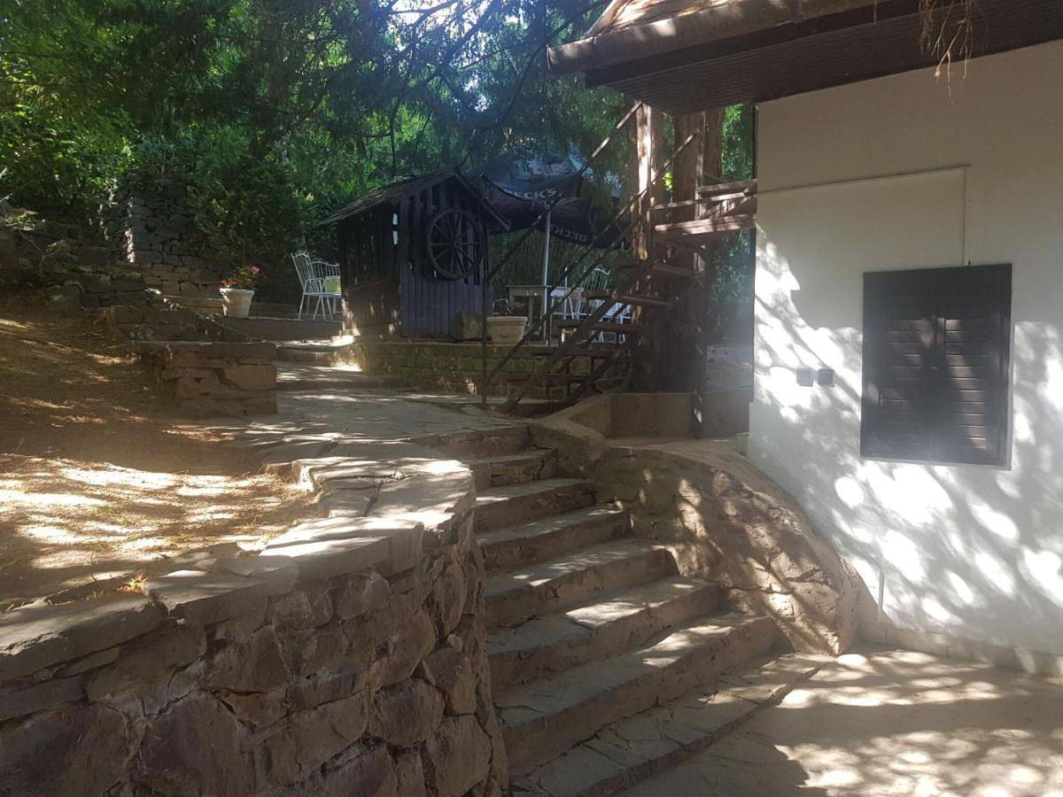 Ganze Ferienwohnung, Double Room with Private Bathroom in Badacsonytomaj, Balaton Region
