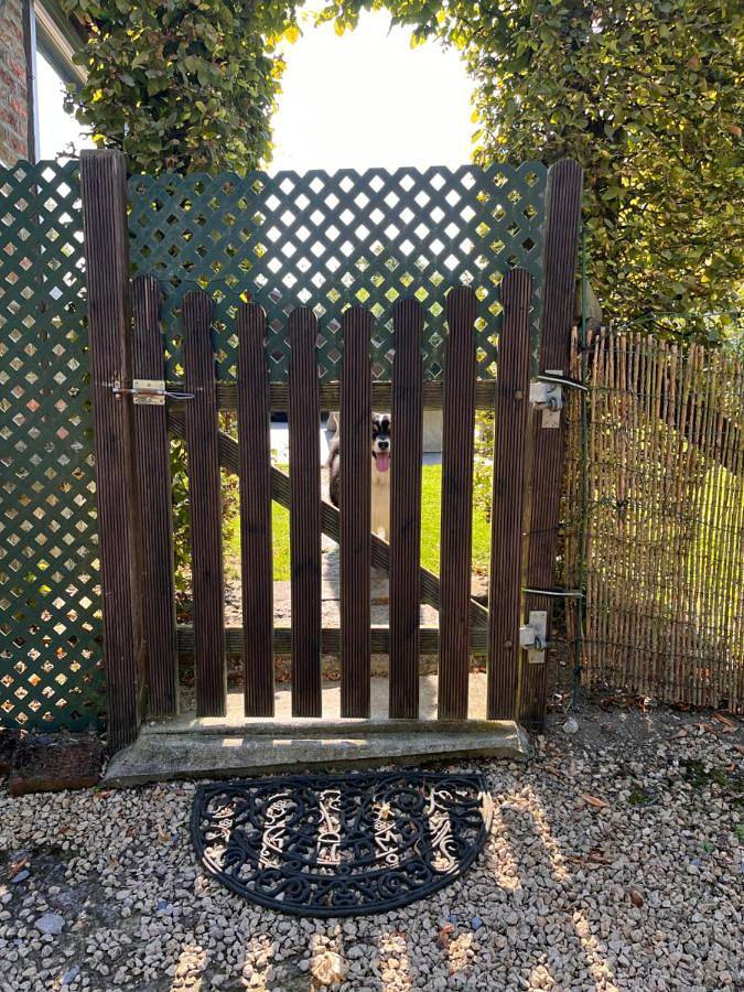 Location de vacances pour 16 personnes, avec piscine ainsi que sauna et jardin, animaux acceptés à Beauraing