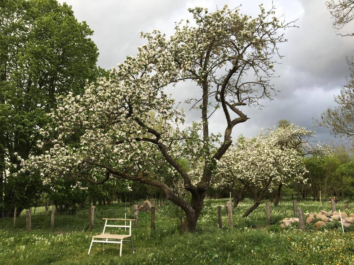 Single Room with Garden View in Friedland (Mecklenburg-Vorpommern), Mecklenburg-Strelitz