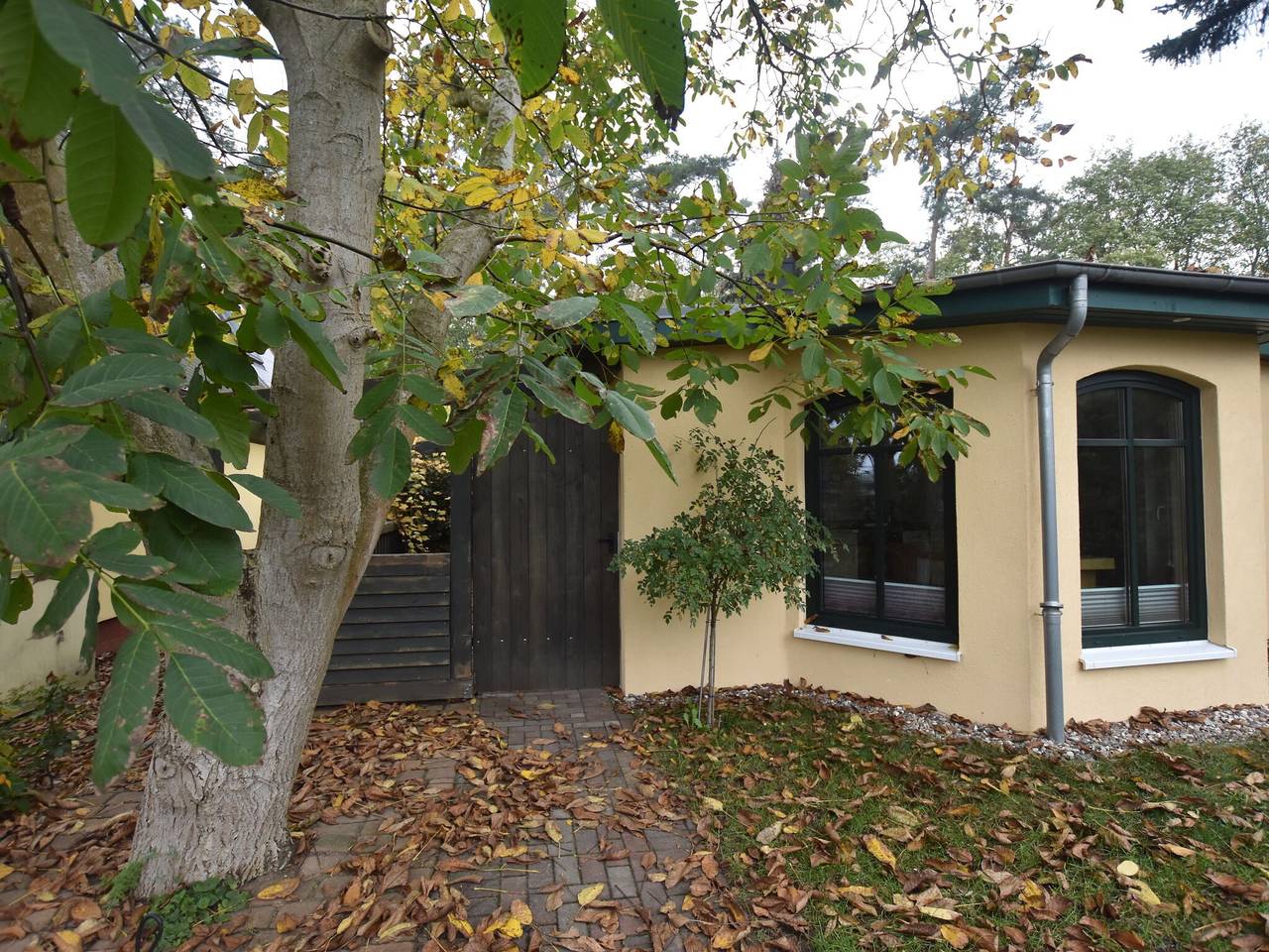 Bungalow in Tessmannsdorf nahe Salzhaff, foto 6