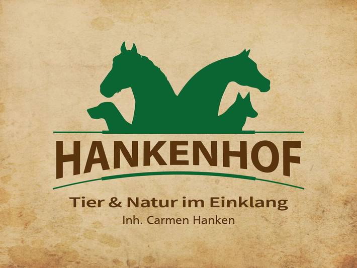 Ferienwohnung für 4 Personen, mit Garten, kinderfreundlich - 1