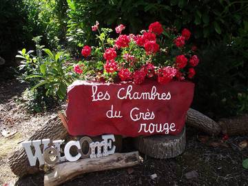 Chambre d’hôte pour 2 personnes, avec jardin à Beauval