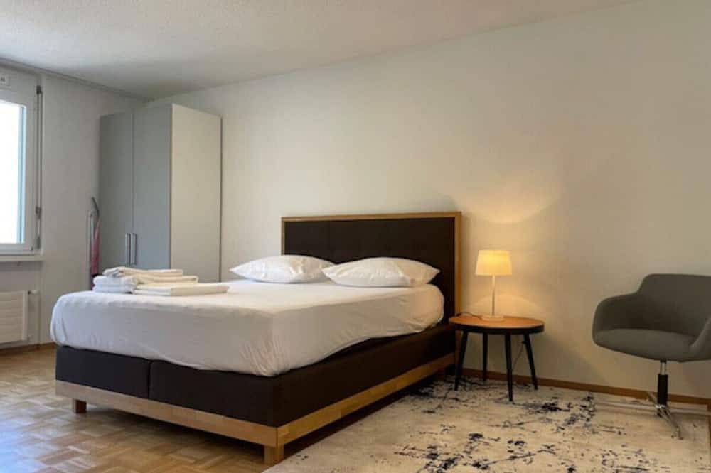 Appartamento intero, Bright and practical Studio (Art 16) in Zurigo, Distretto di Zurigo