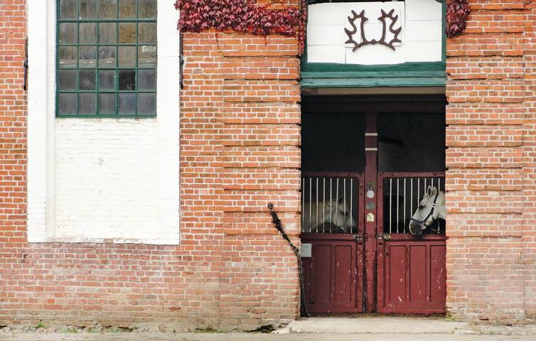 Ferienwohnung für 6 Personen, mit Terrasse in Waabs - 3