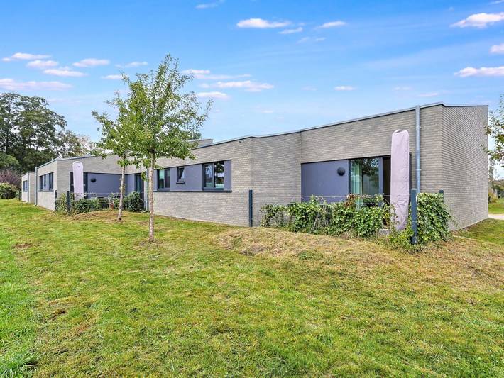 Ferienhaus für 8 Personen, mit Sauna und Kinderpool sowie Terrasse, mit Haustier am Dümmer See (Niedersachsen)