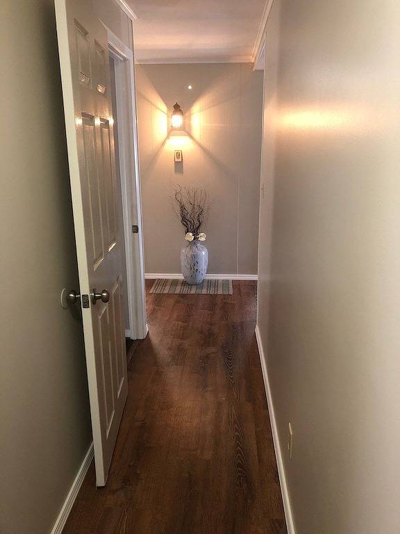 Privater Landausflug in Seneca Lake