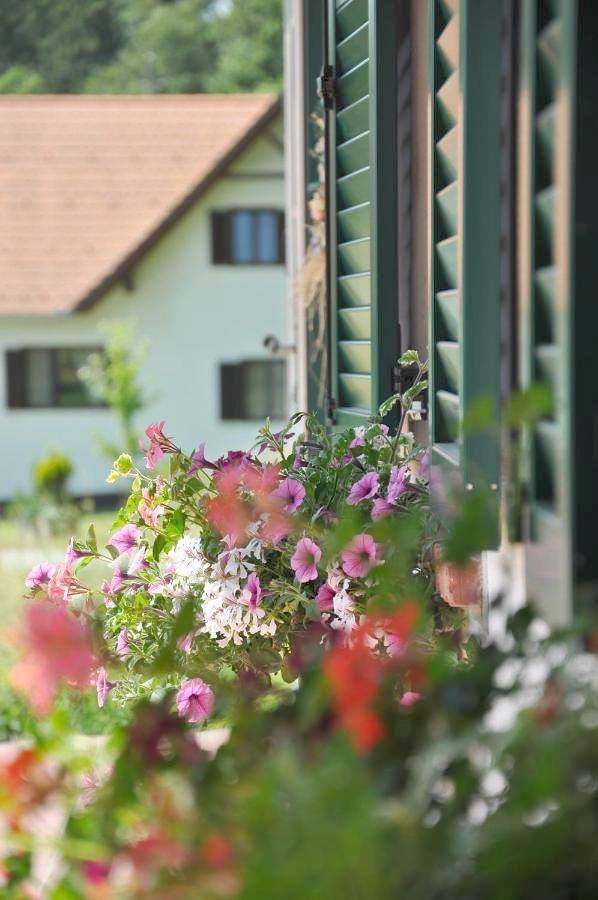 Ferienhaus für 4 Personen, mit Garten und Ausblick in der Oststeiermark - 4