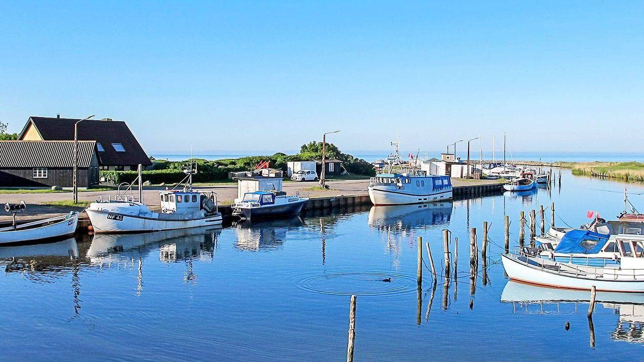 Ferienhaus für 4 Personen (57 m²) in Dannemare in Hummingen, Dannemare