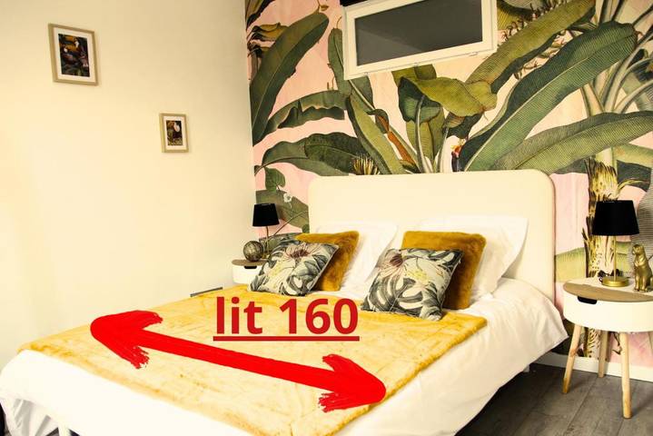 Gîte pour 4 personnes, avec Terrasse à Cosne-Cours-sur-Loire - 4