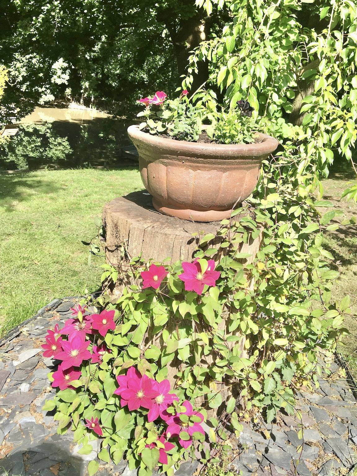 Entire vacation apartment, Charming 1-Bedroom Apartment near South Downs in Hellingly, East Sussex