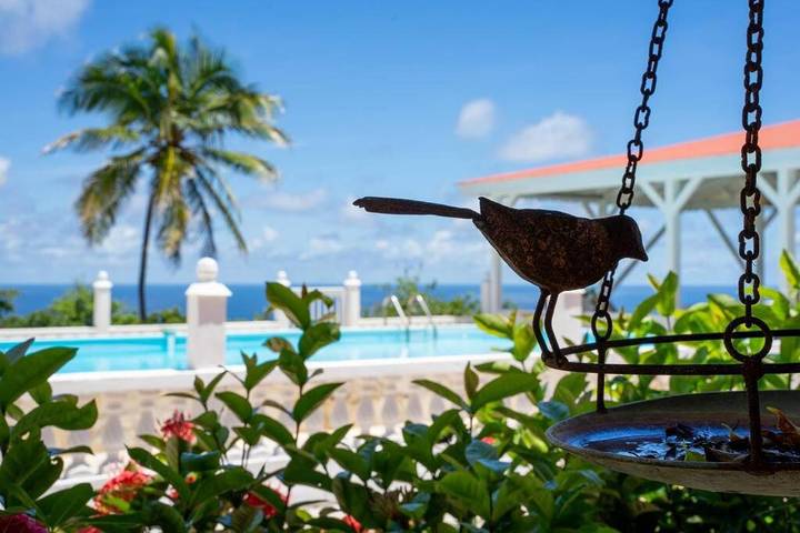 Dominio de las palomas in Capesterre-de-Marie-Galante, Guadalupe