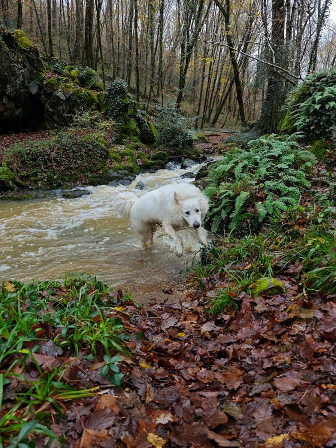 Location de vacances pour 4 personnes, avec jardin à Foussais-Payré - 2